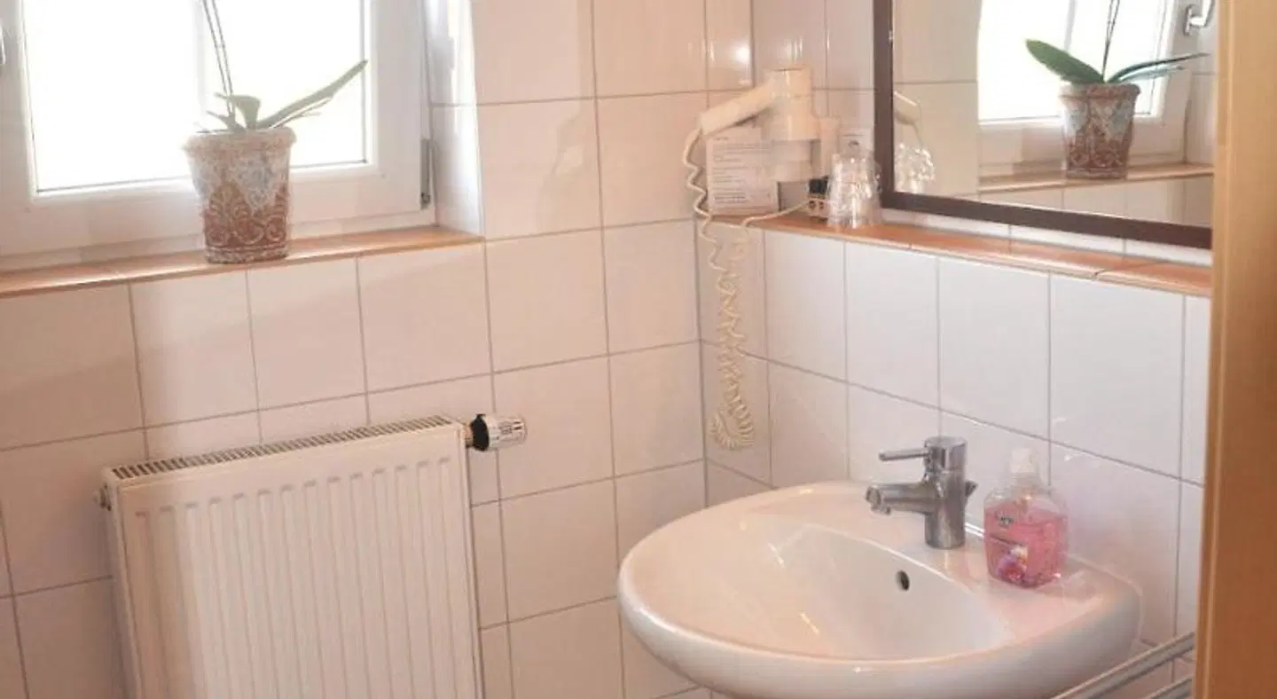 Hotel Mühleinsel Badezimmer