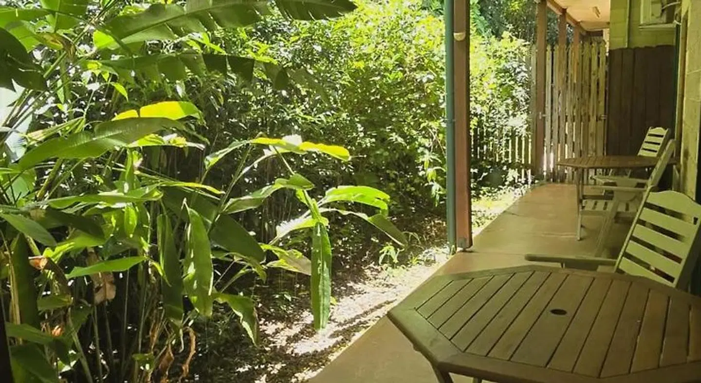 Curtain Fig Tree Motel Terrasse