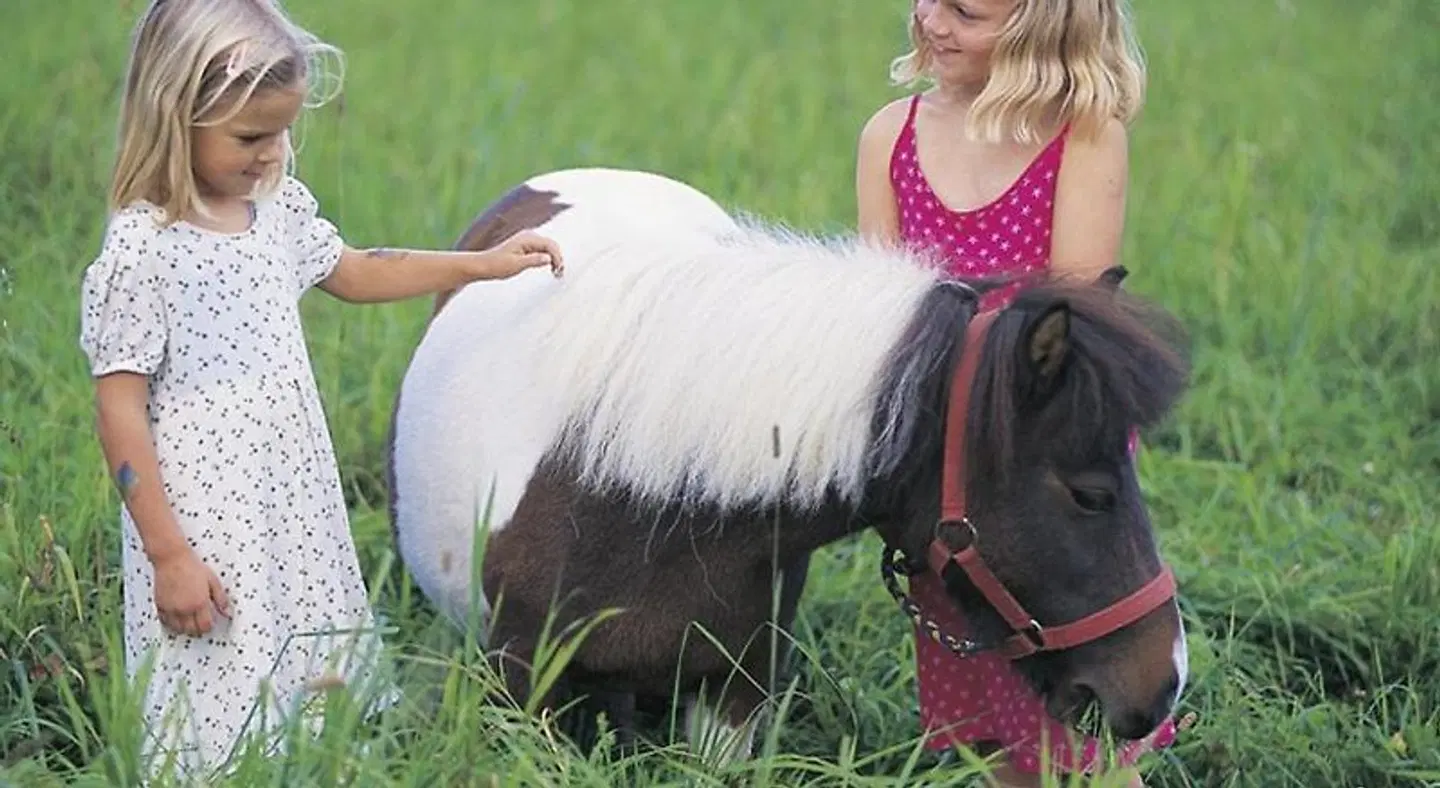 Seehotel Princes PEOPLE