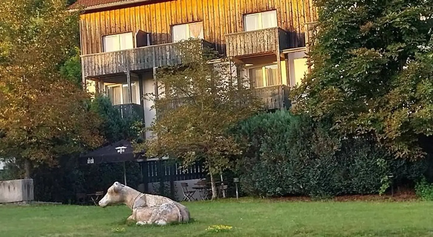 Hotel am Pfahl Tiere