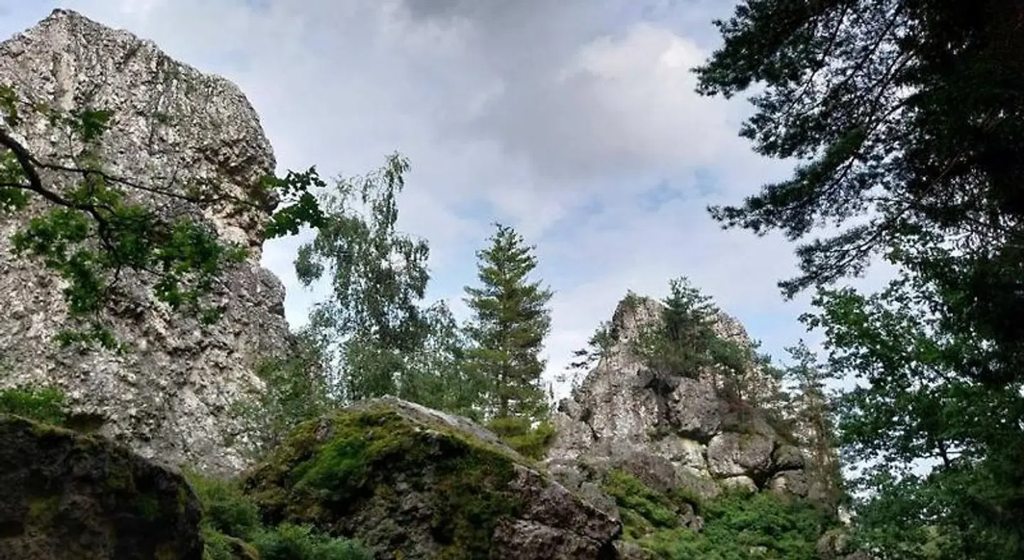 Hotel am Pfahl LANDSCAPE