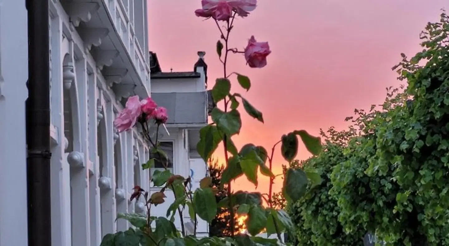 Villa Meeresgruß Garten