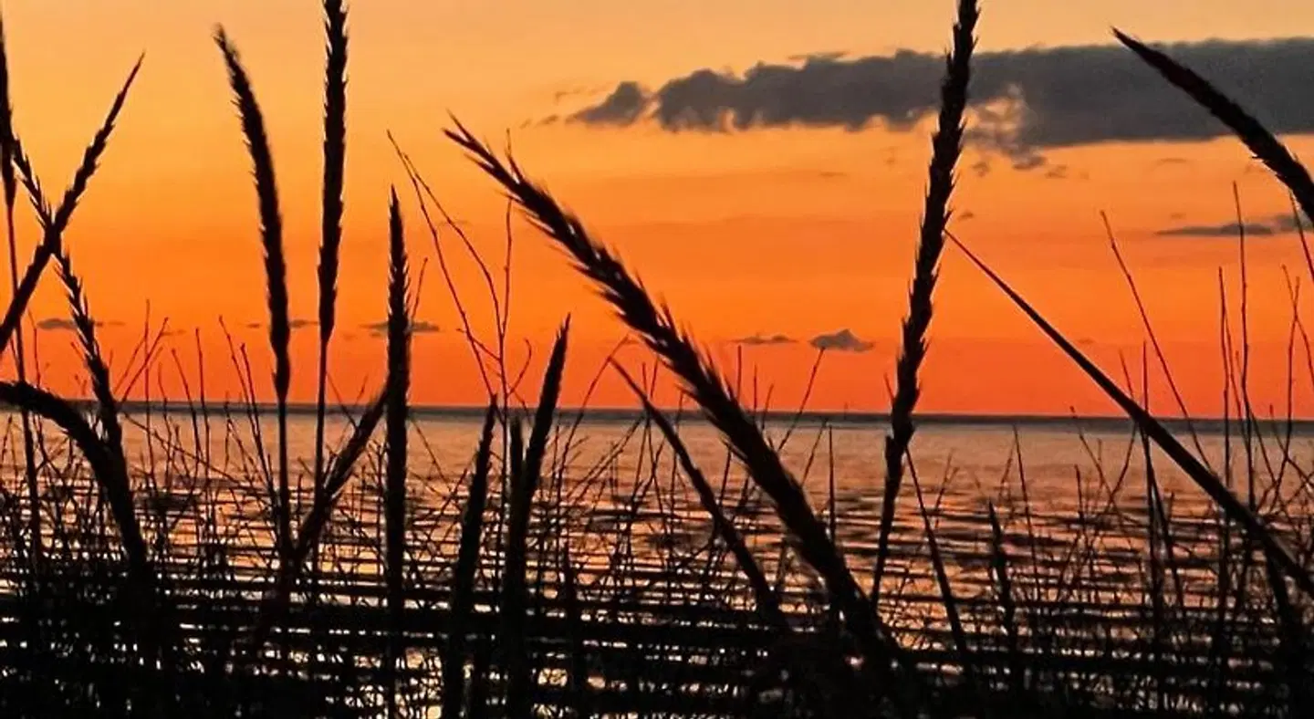 Moin! LANDSCAPE