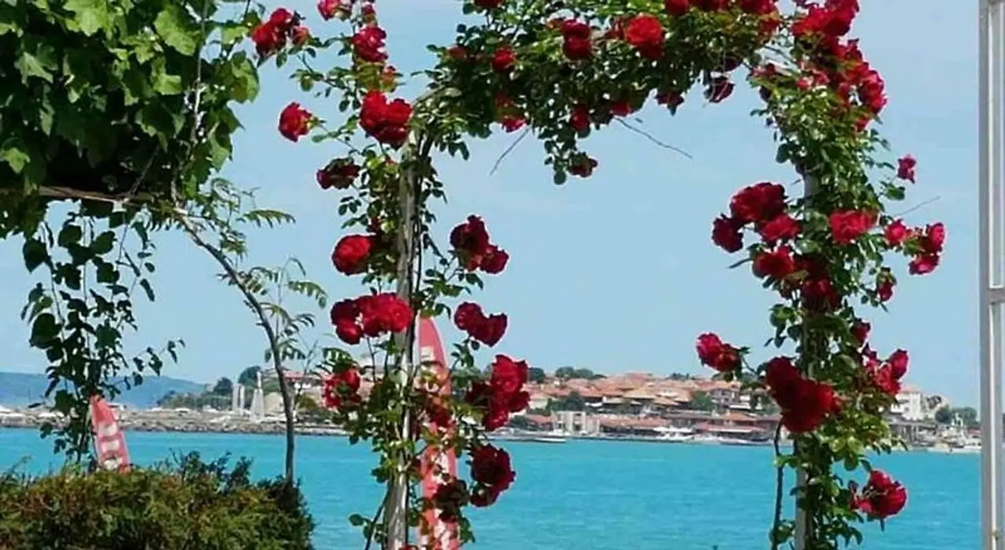 Aphrodite Beach Hotel OUTDOOR_POOL