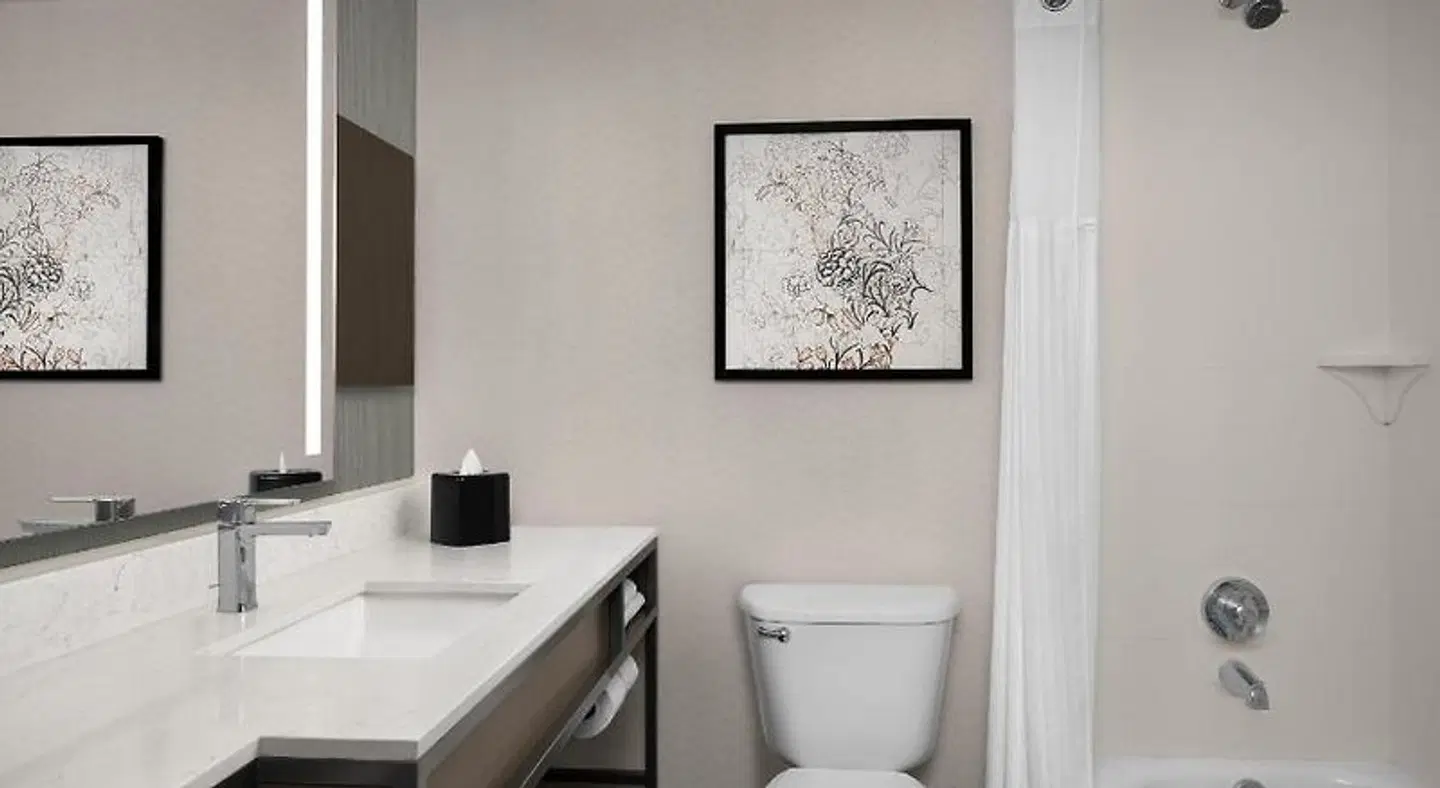 Hilton Garden Inn Philadelphia/Ft. Washington Badezimmer
