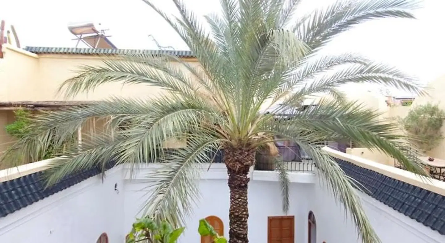 Riad O-ly EXTERIOR