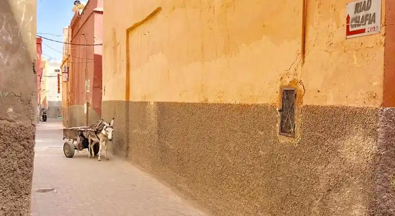 Riad Chafia – Hotelfoto