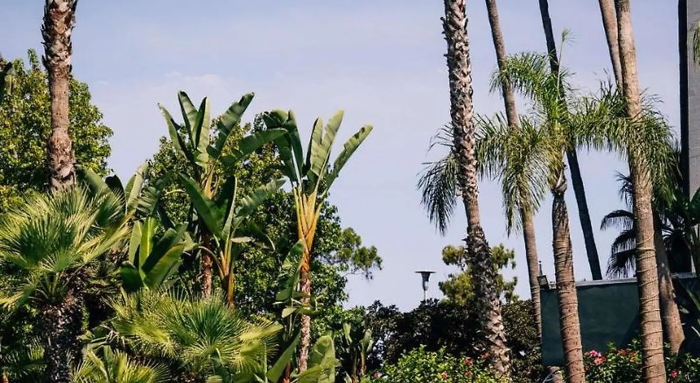 Hyatt Regency John Wayne Airport Newport Beach Garten