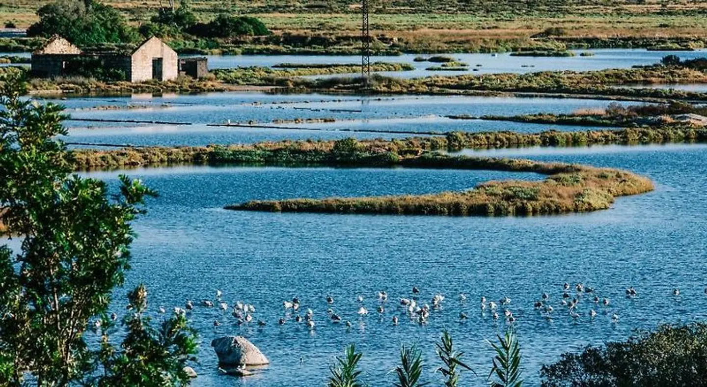 Costa Salina LANDSCAPE