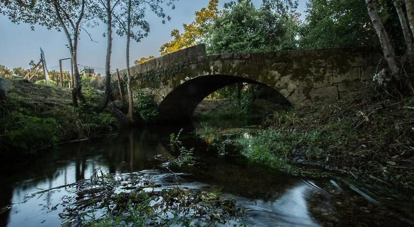 Quinta do Caminho LANDSCAPE