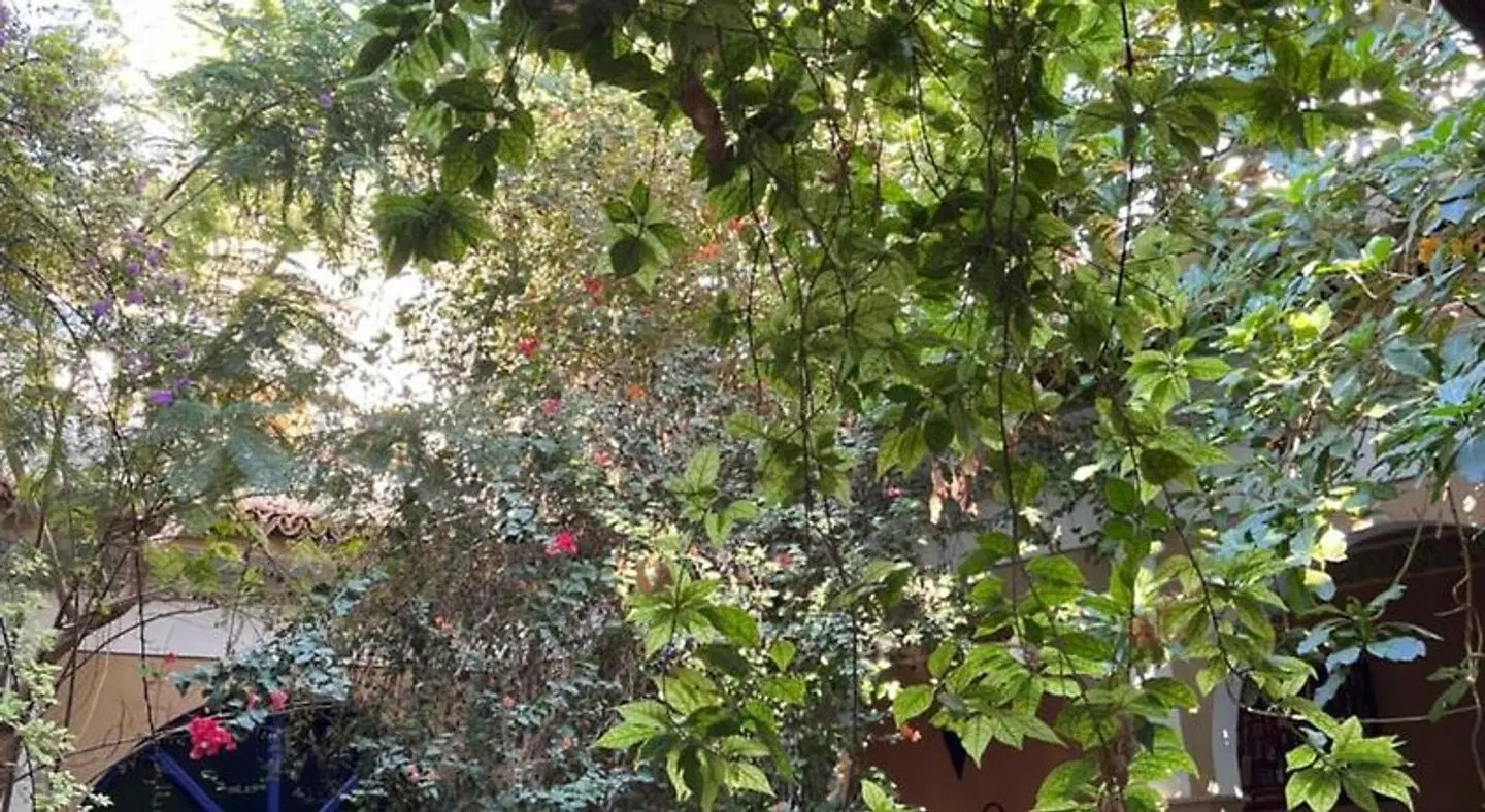 Riad Maryam Taroudant LANDSCAPE