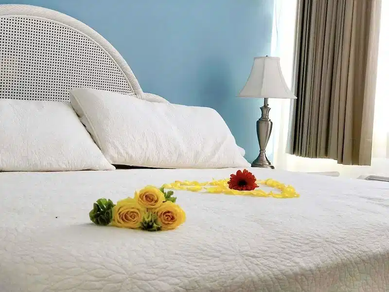 del Paseo Campeche – Hotelfoto
