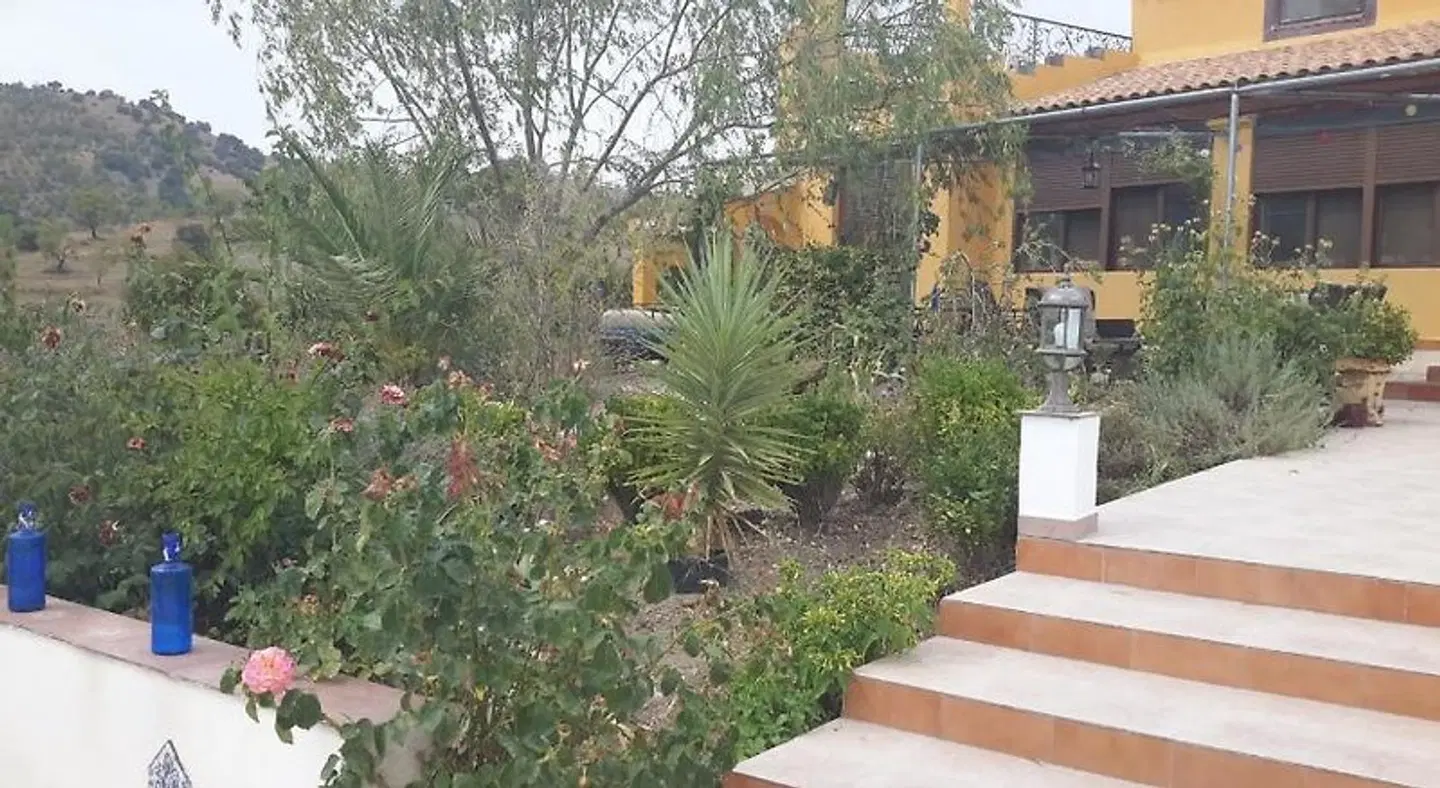 Casa Joya Garten