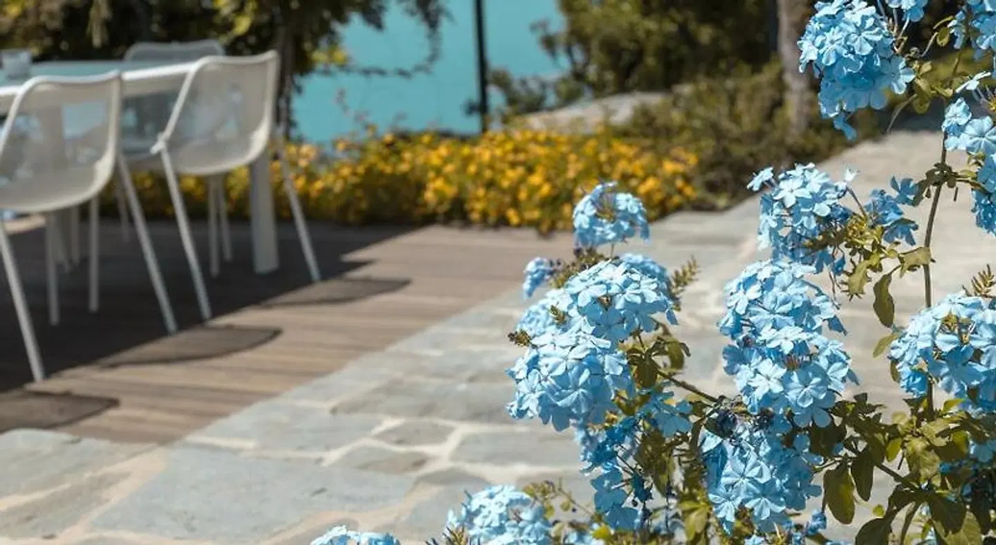 Villa Riviera Terrasse