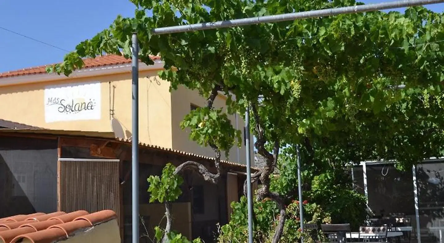 B&B Mas Solana EXTERIOR
