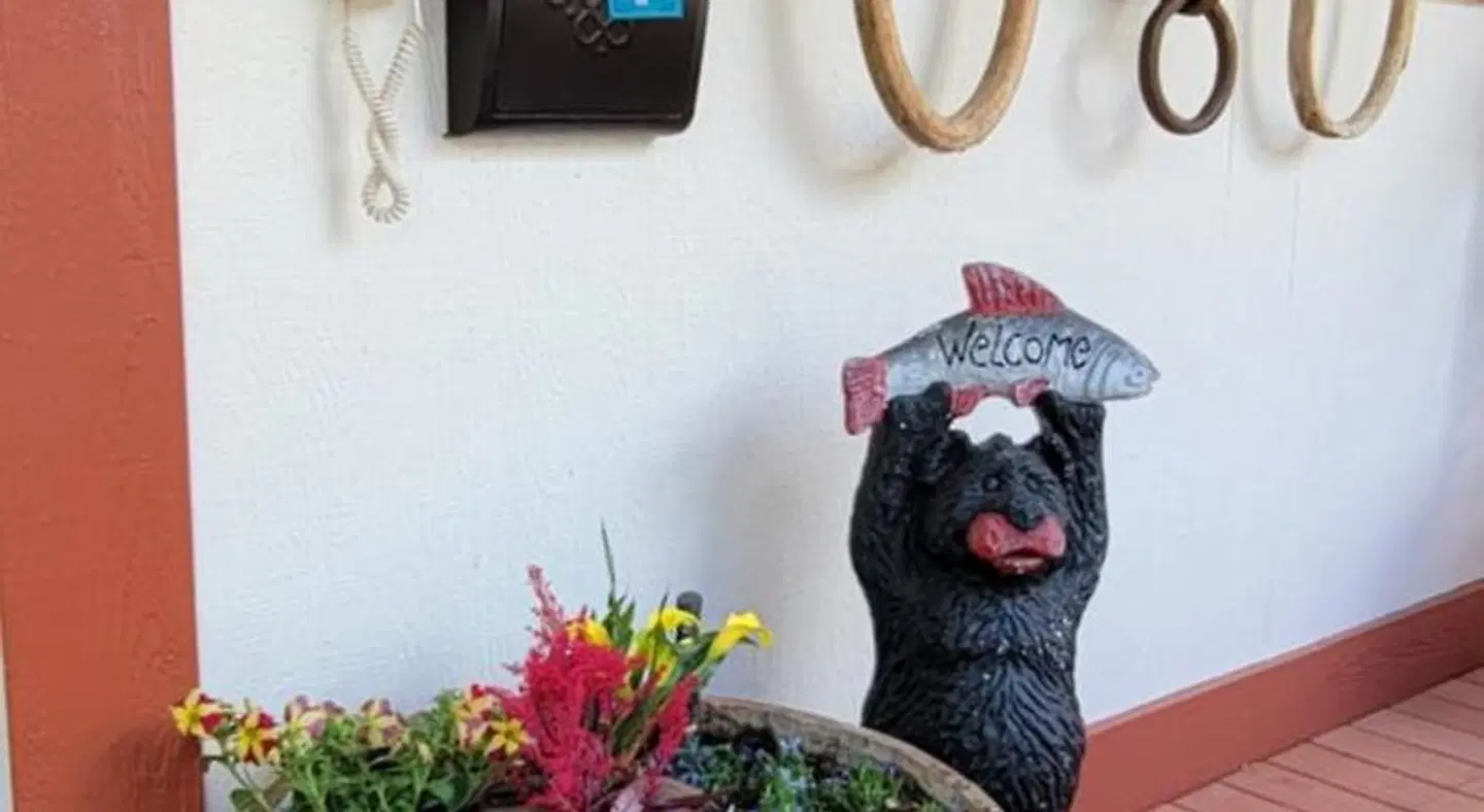 Hot Springs Inn Tiere