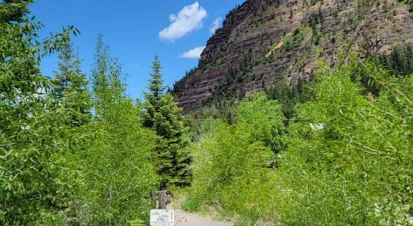 Hot Springs Inn LANDSCAPE