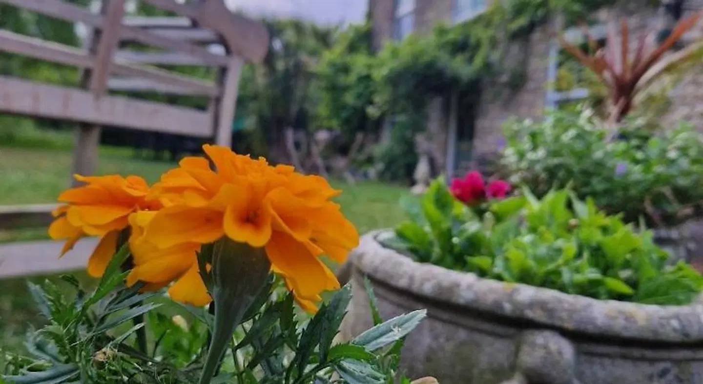 Worth House Bed and Breakfast Garten