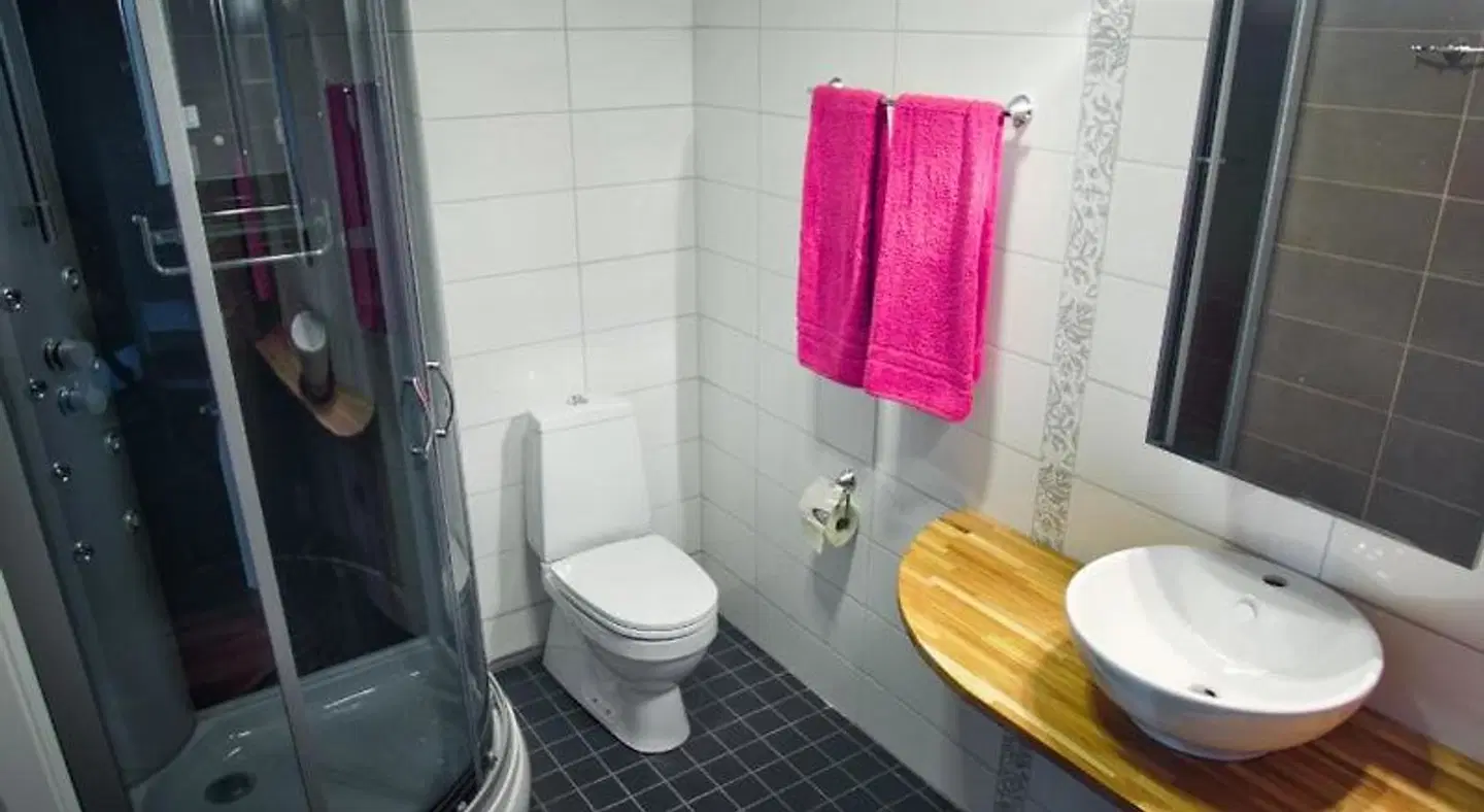 Salpalinjan Hovi Badezimmer