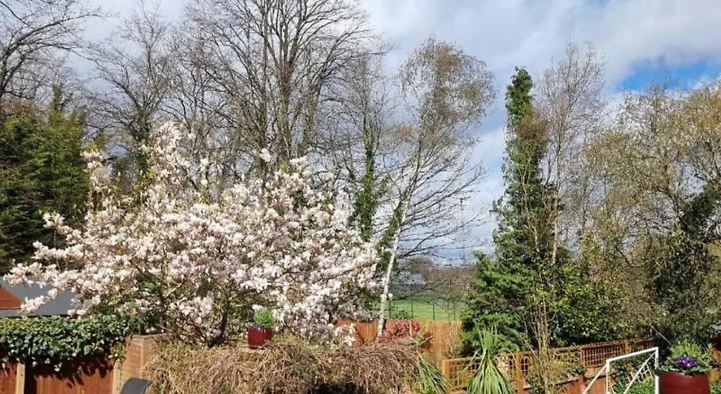 Westbourne Lodge LANDSCAPE