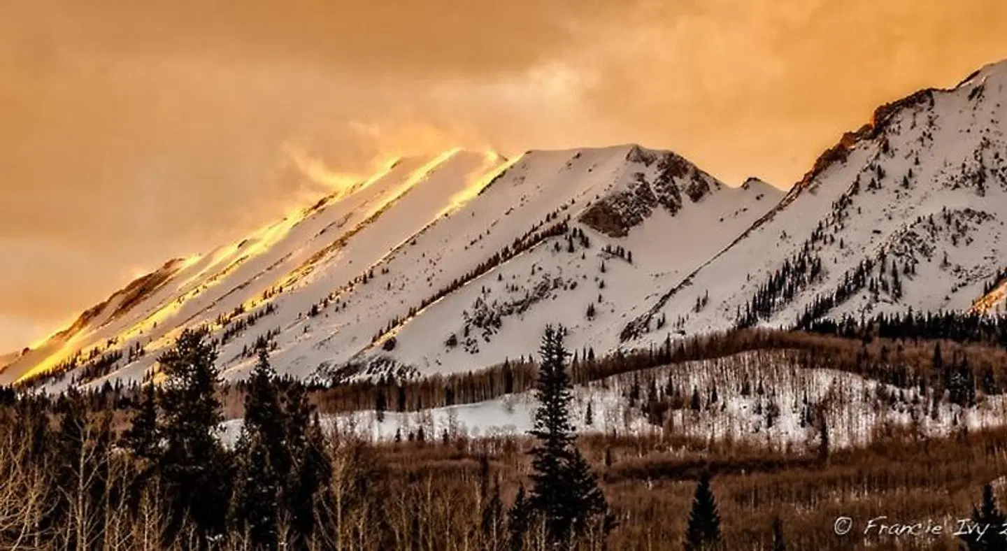 The Alpine Inn & Suites LANDSCAPE