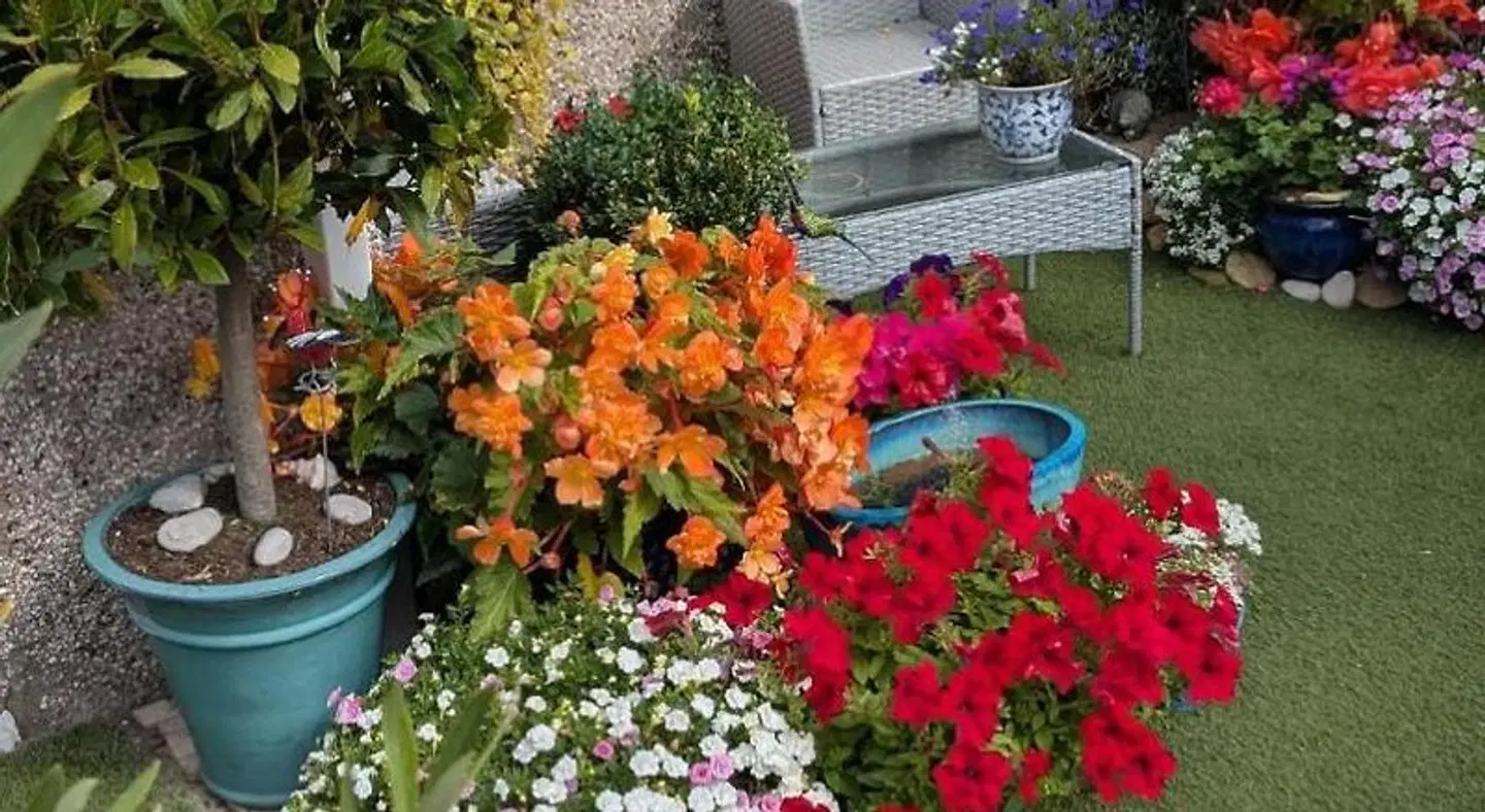 The Bridges B&B Garten