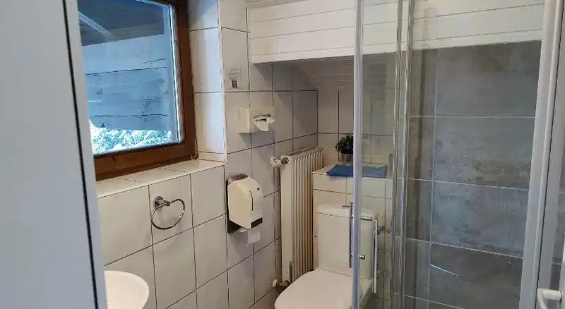 Pension Almhof – Hotelfoto