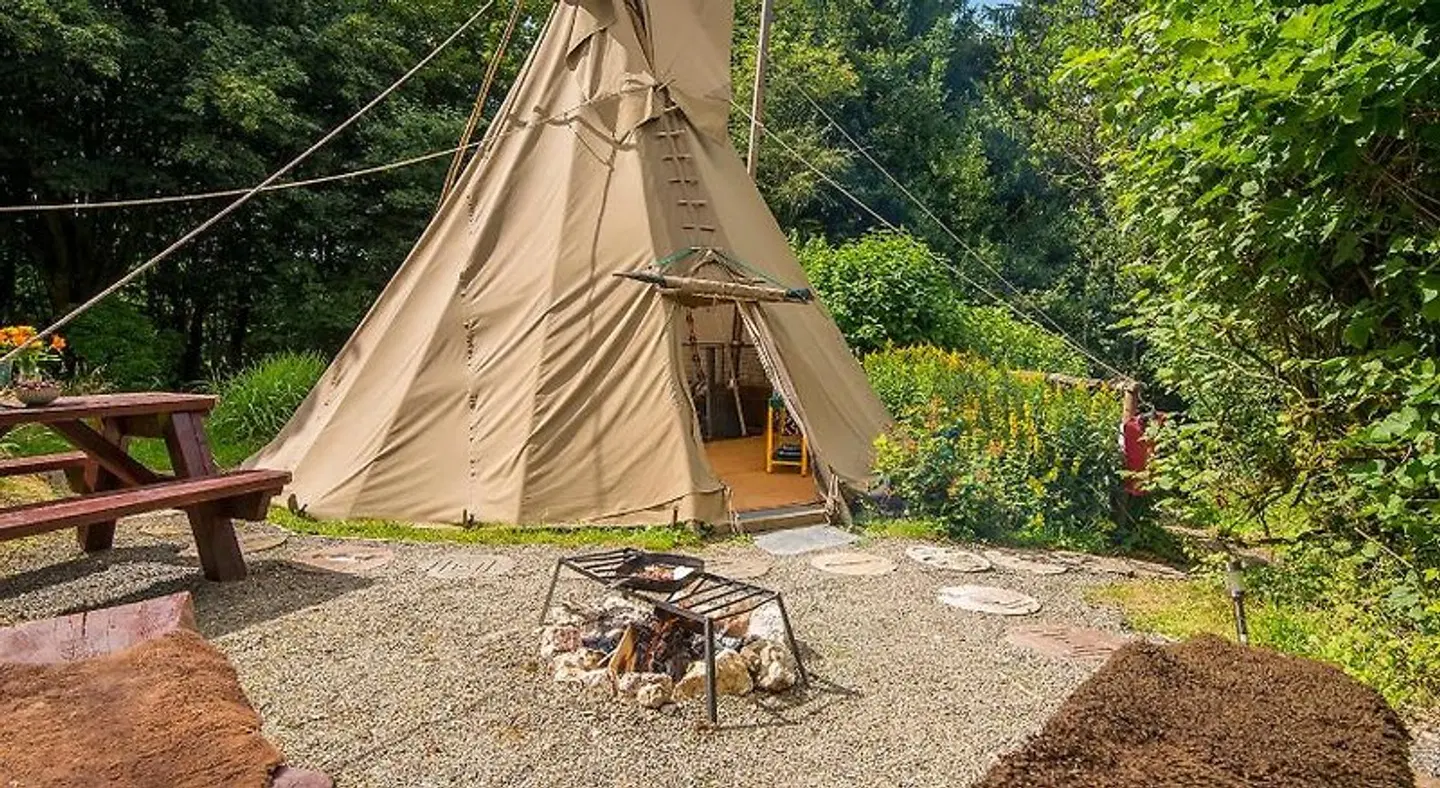 Larkhill Tipis and Yurts Tiere