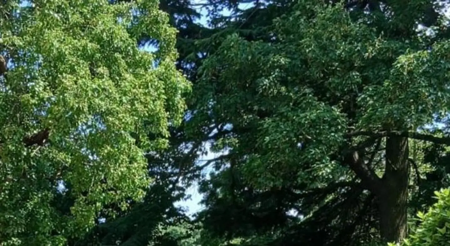 Ingon Bank Farm Bed And Breakfast LANDSCAPE