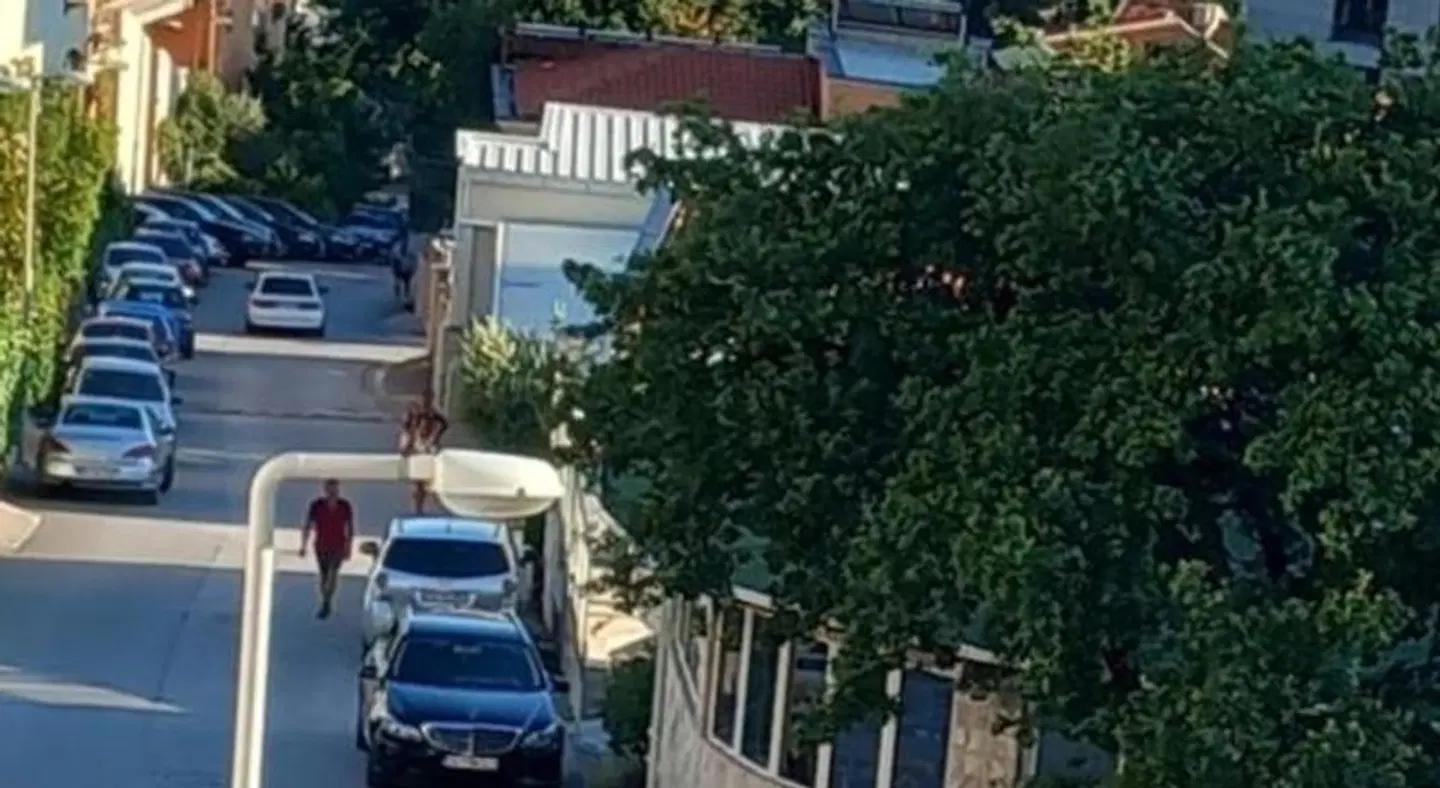 Guest House Ugljevarevic Terrasse