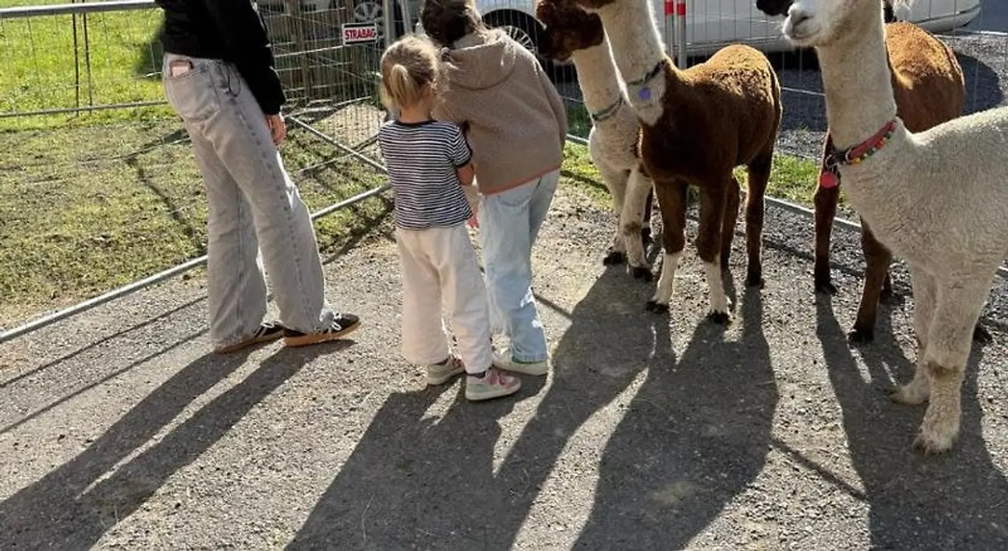 Biancas Ferienwohnung im Haus Roswitha Tiere