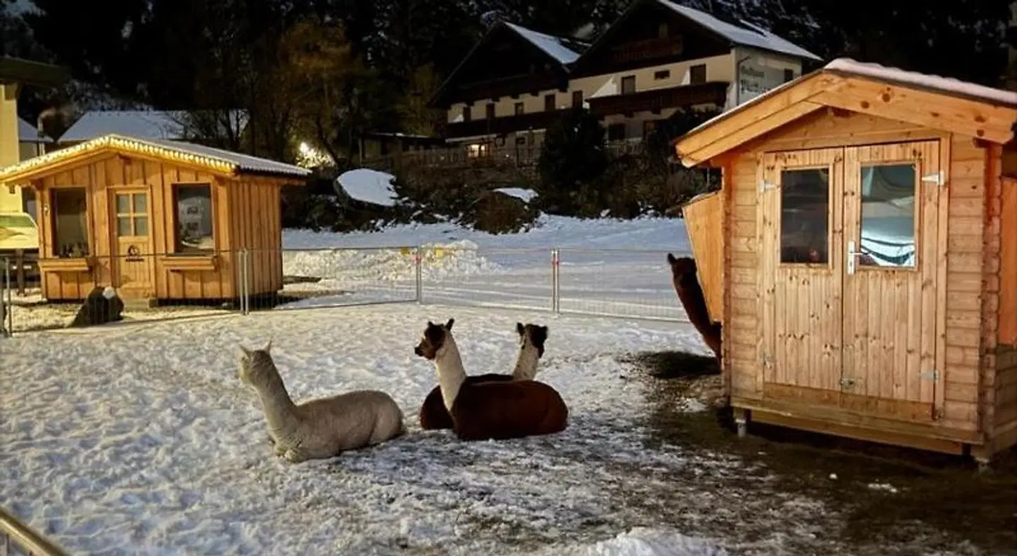 Biancas Ferienwohnung im Haus Roswitha Strand