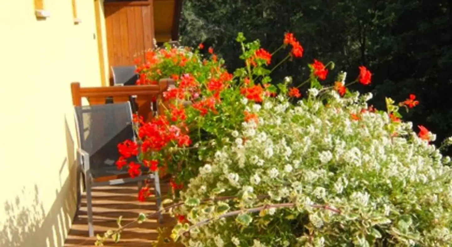 Affittacamere La Luge D'Antan Garten