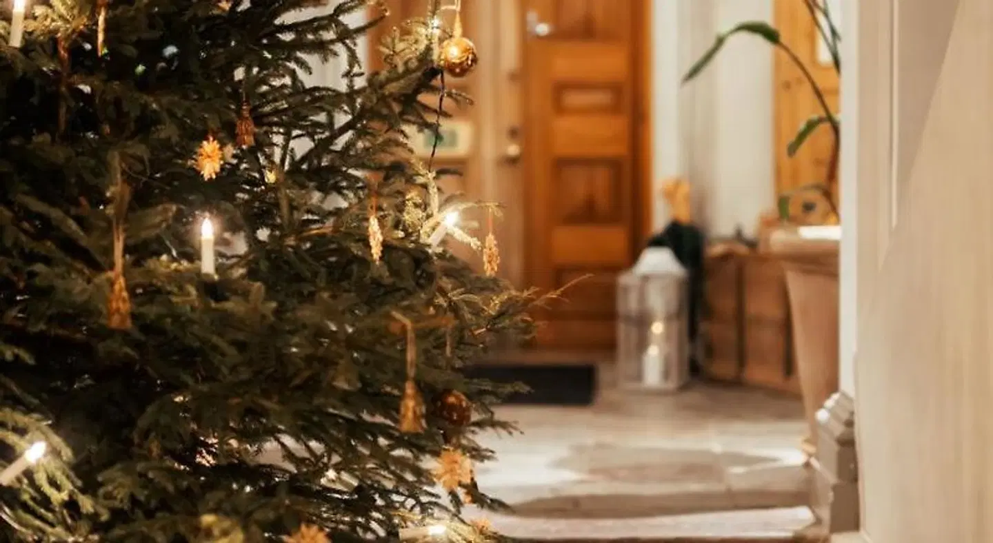 Haga Slott LOUNGE_LOBBY