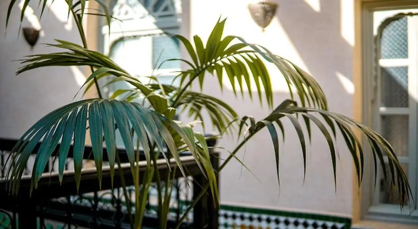 Riad Zidania Terrasse