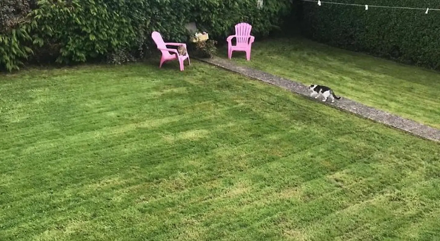 The Meadows Bed and Breakfast Tiere