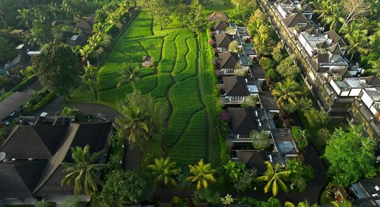 Visesa Ubud Resort LANDSCAPE