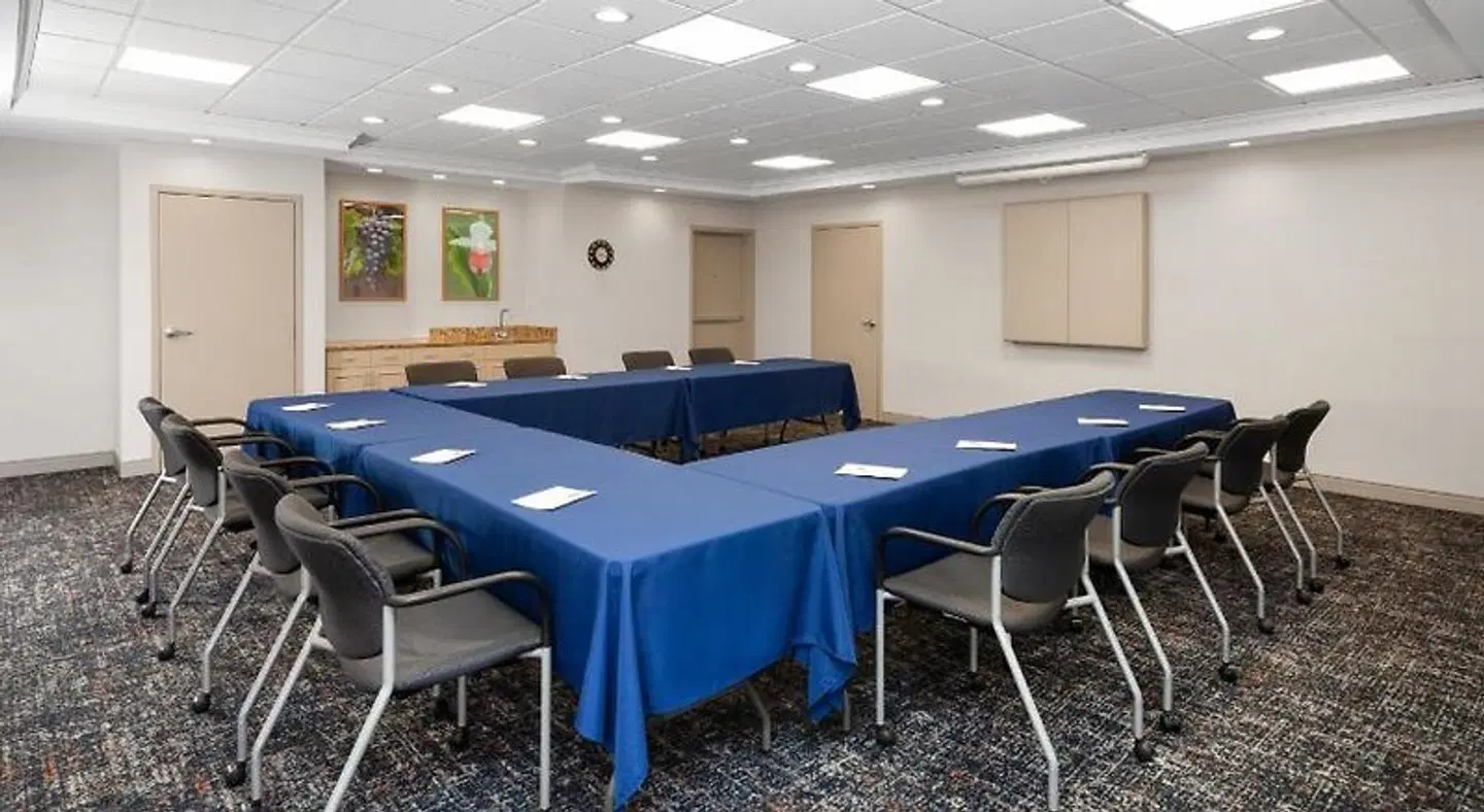 Hampton Inn & Suites Alexandria Konferenz