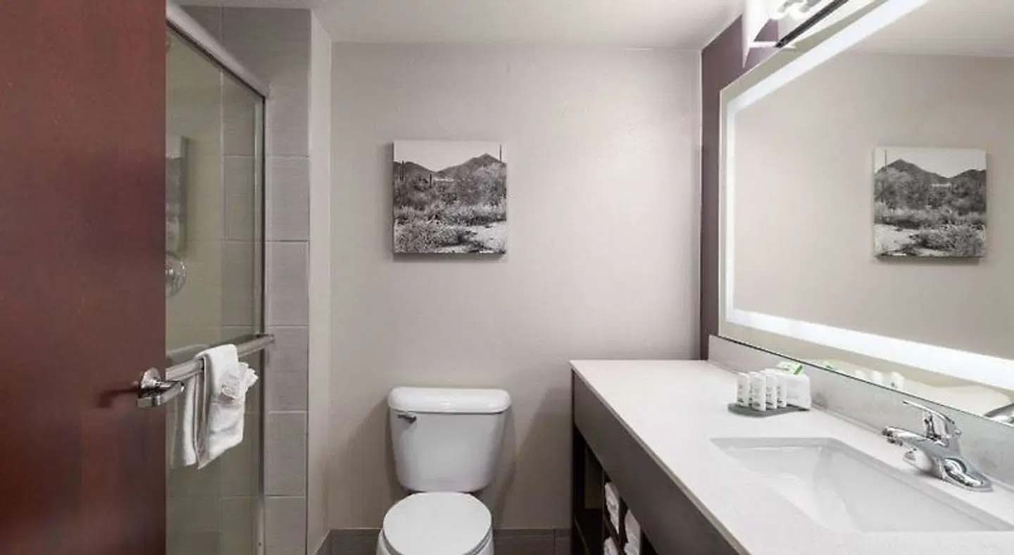 La Quinta Inn & Suites by Wyndham Williams-Grand Canyon Area Badezimmer