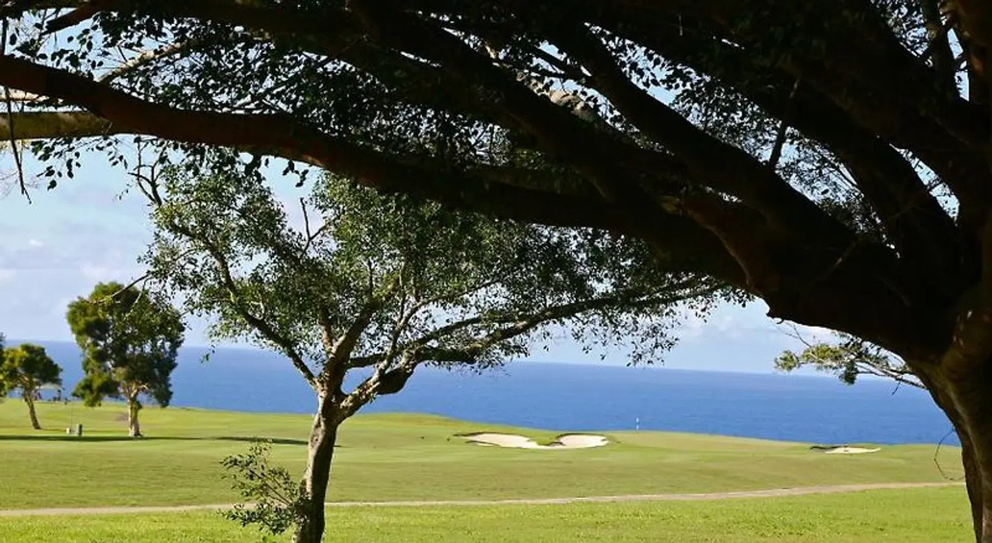 Wyndham Ka 'Eo Kai LANDSCAPE
