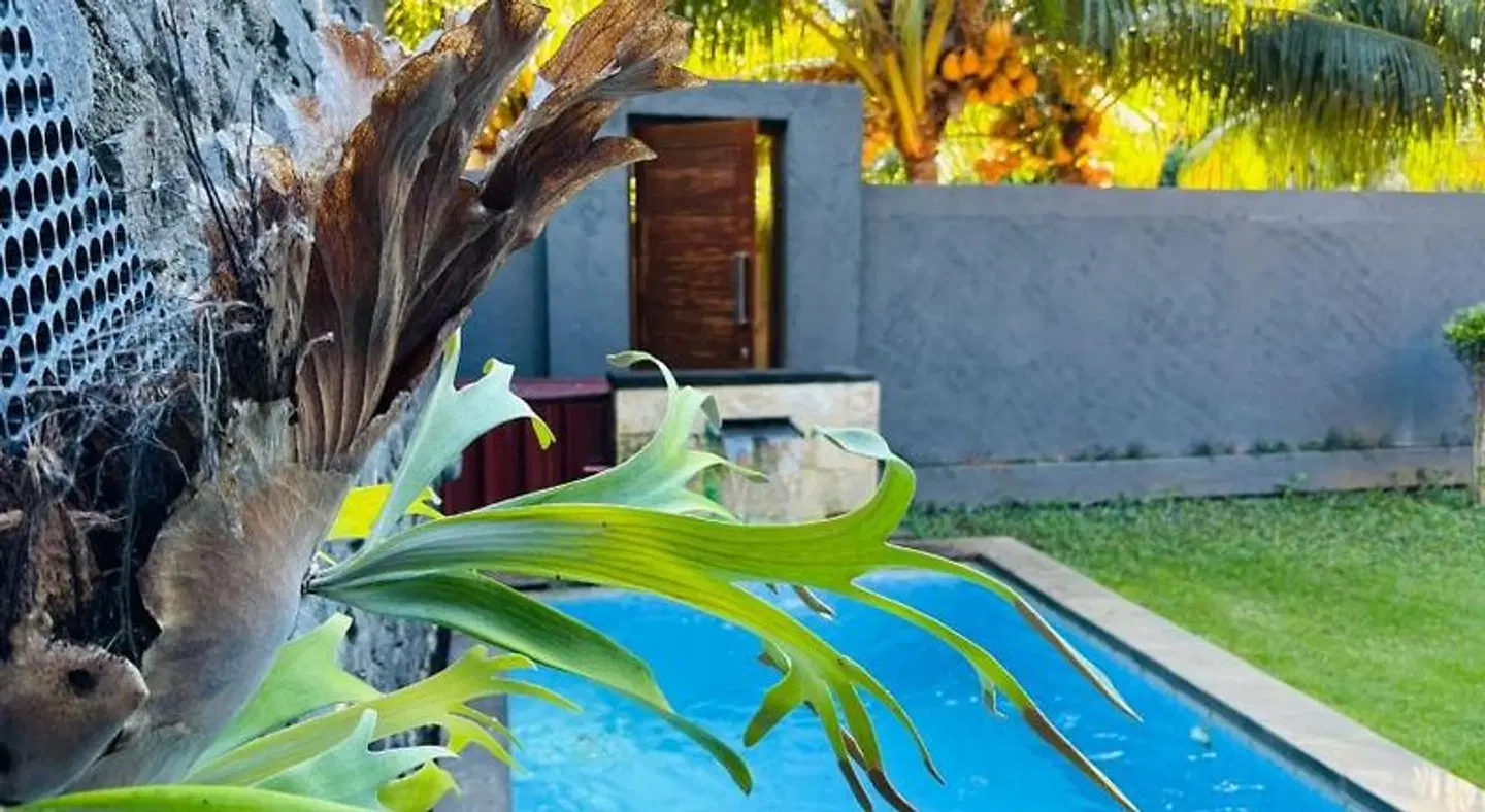 Coco Garden OUTDOOR_POOL