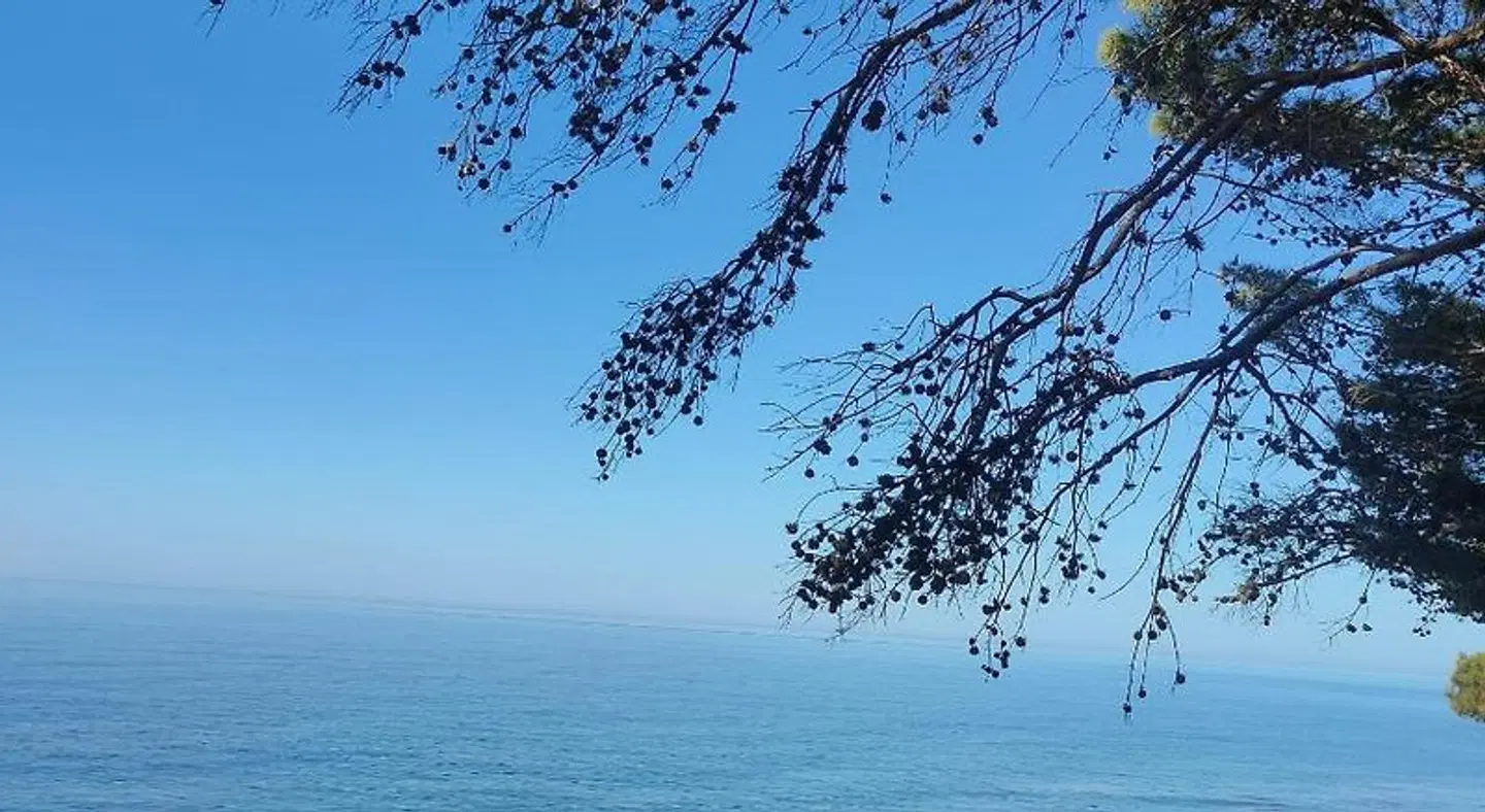 Villa Lauro Luxury B&B LANDSCAPE