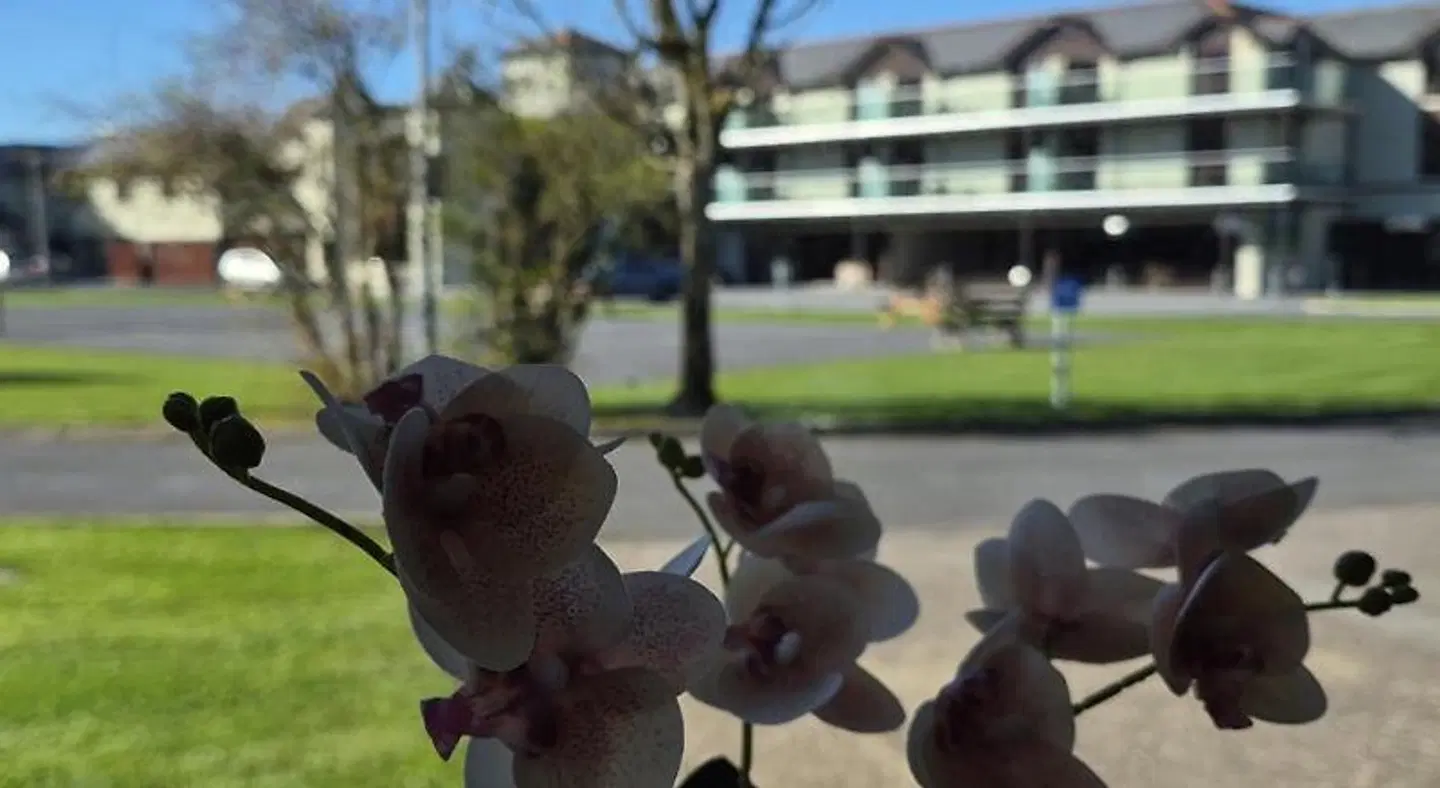 Gold Coast Golf Resort Tiere