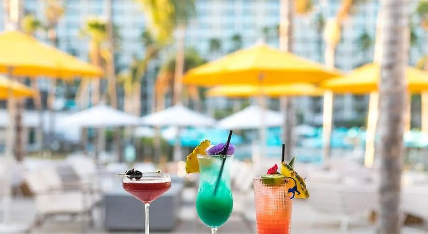 Town and Country Resort Hotel and Convention Center SPORTS_AND_LEISURE