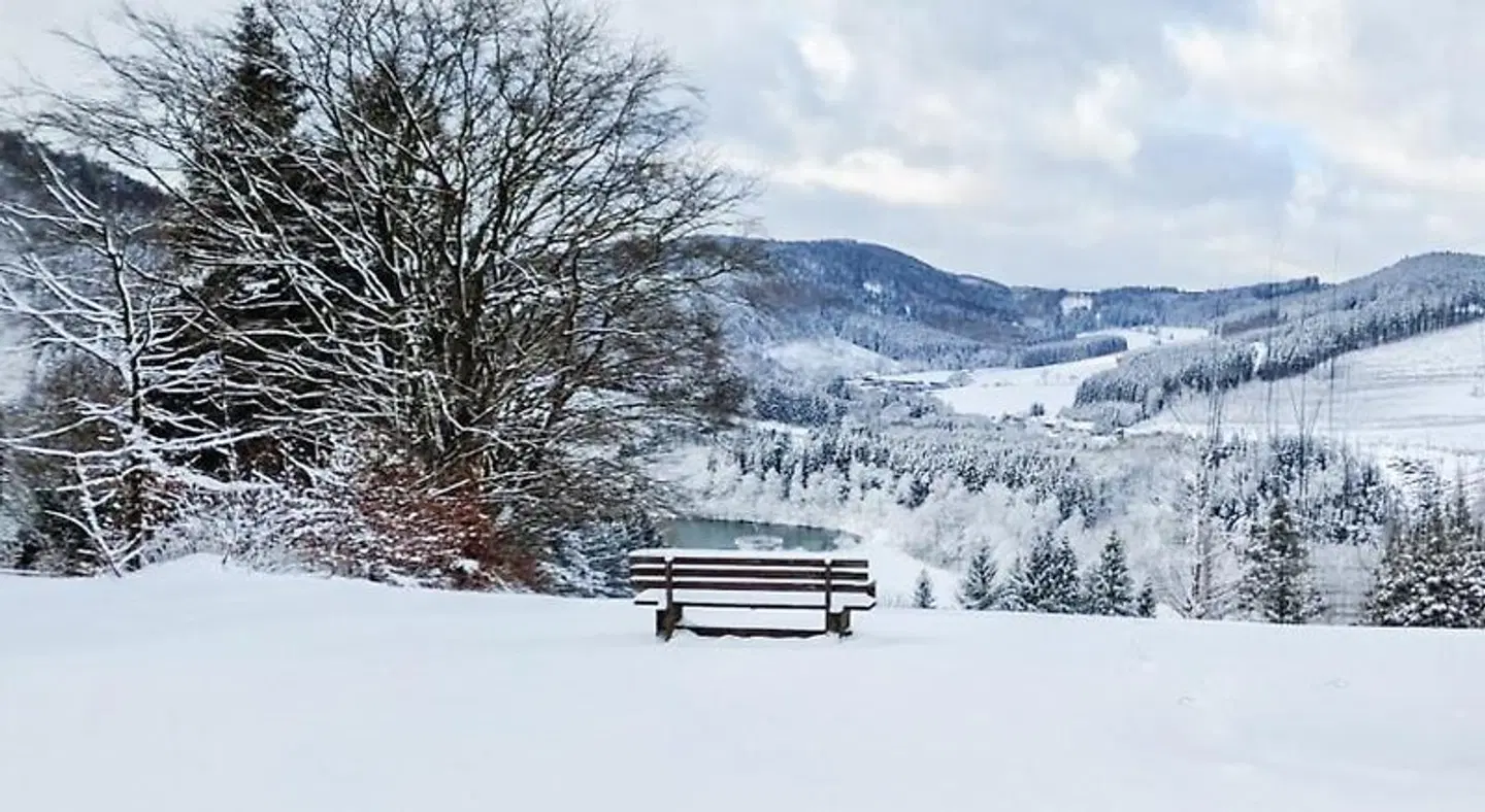 Panorama Hotel Winterberg LANDSCAPE