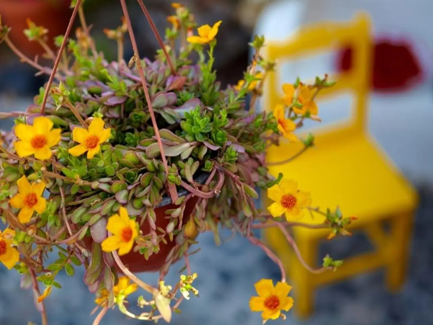 Anna Traditional Apartments EXTERIOR