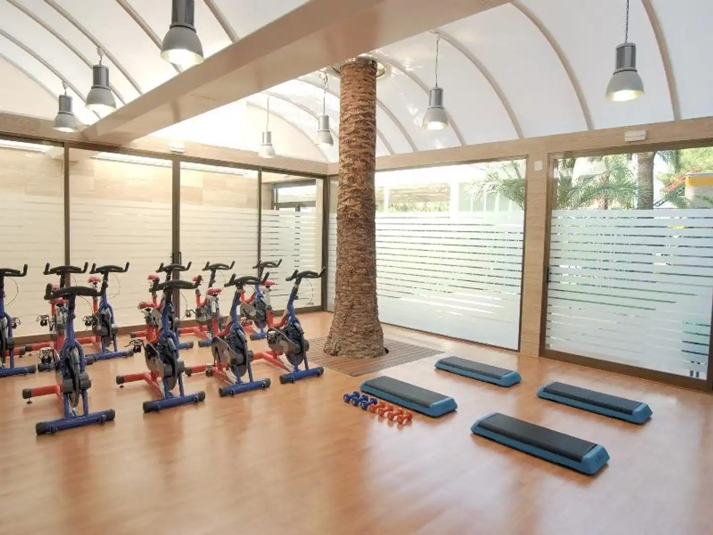 Rosamar Sport und Entertainment