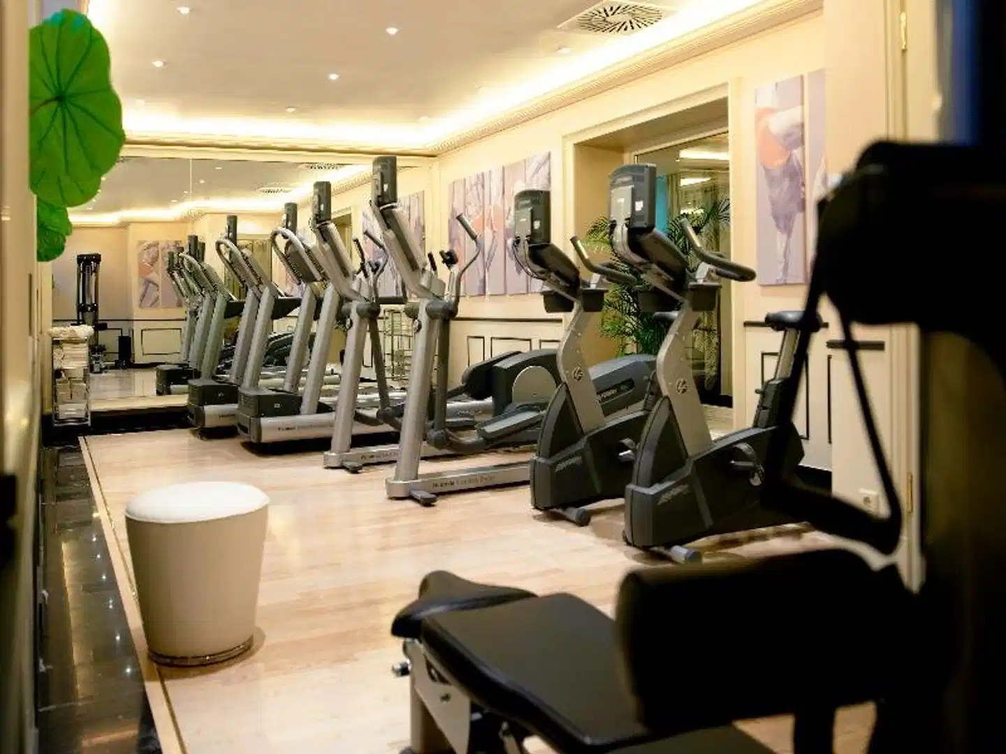 Sacher Sport und Entertainment