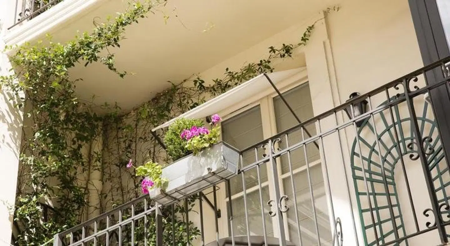 Arioso EXTERIOR