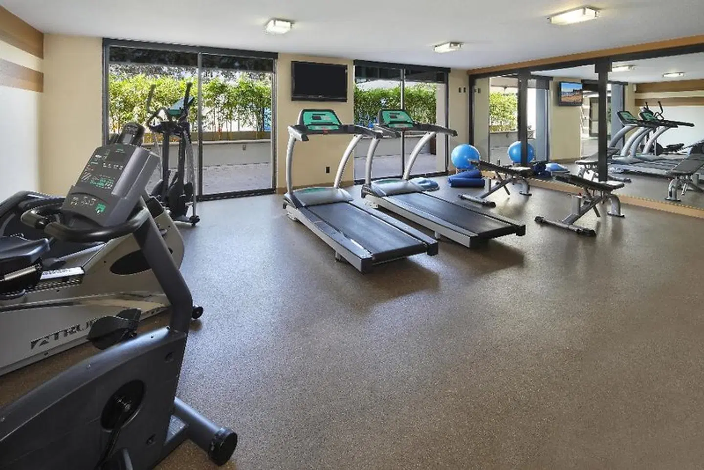 Holiday Inn & Suites Anaheim SPORTS_AND_LEISURE